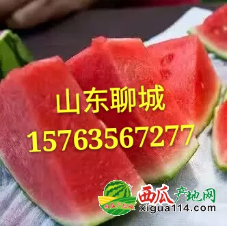 1490006247105_mh1491056401326