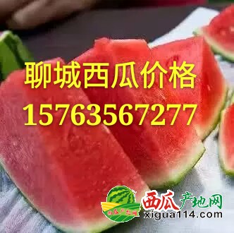 1490006247105_mh1491576304403
