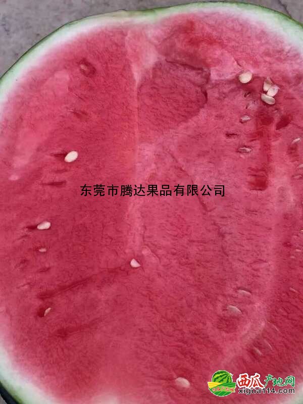 花皮无籽西瓜图二