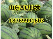 优质薄皮京欣西瓜上市18769991603