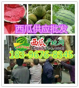 initpintu_副本