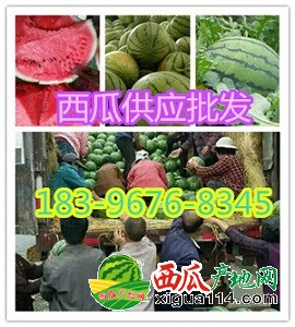 initpintu_副本
