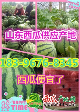 西瓜拼2_副本