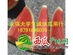 陕西大荔县西瓜批发大荔县西瓜基地批发