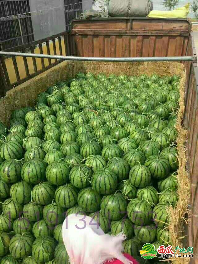 微信图片_20170529201734