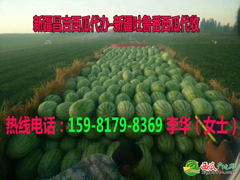 微信图片_2343333170605113220