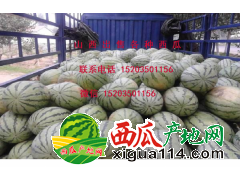 忻州市出售万亩优质西瓜