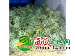 2018年江苏东台西瓜代办_东台西瓜价格批发