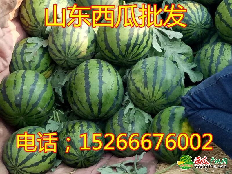 微信图片_20180502165415