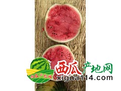 辽宁新民梁山西瓜🍉现以大量上市-梁山西瓜批发