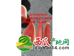 大荔县西瓜批发大荔县西瓜代办京欣西瓜产地价格