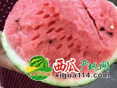 辽宁内蒙西瓜销售联系方式:151-6418-7567（辽宁西瓜代办）