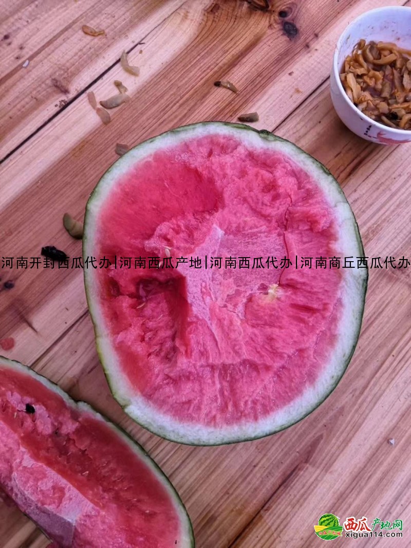 本信息其他西瓜西瓜相关图三 其他西瓜西瓜图三