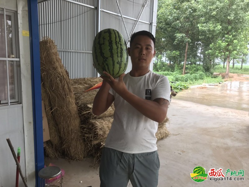 微信图片_20190419094654