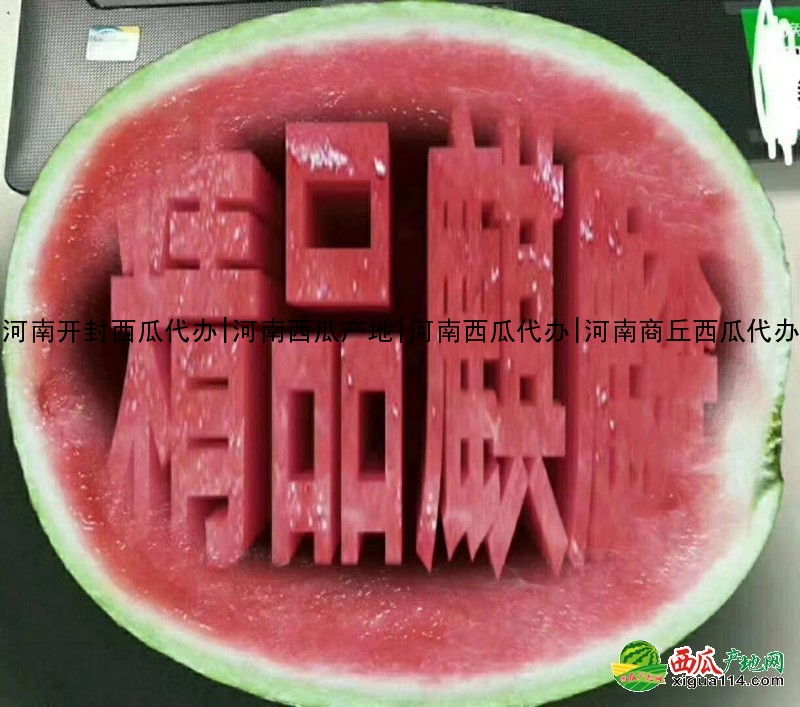 本信息8424西瓜相关图二 8424西瓜图二