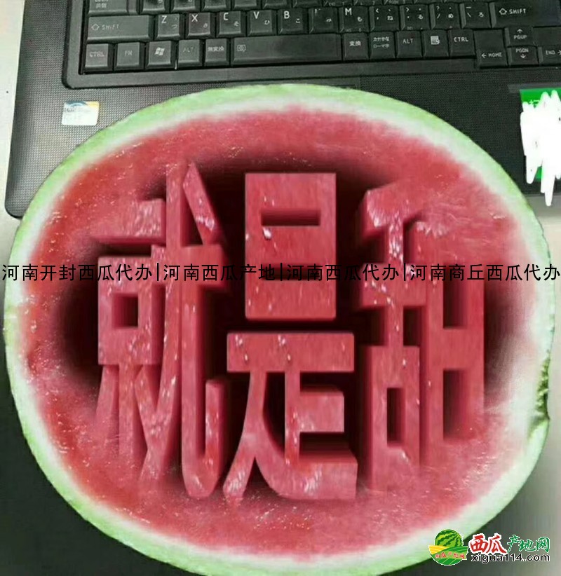 本信息8424西瓜相关图三 8424西瓜图三