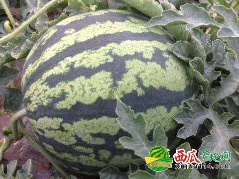 微信图片_20190516195122