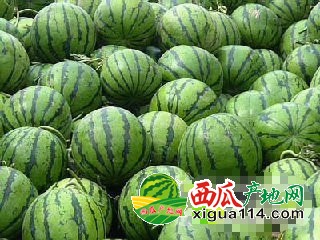 IMG_20190506_195208