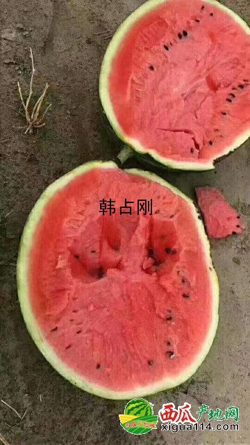 甜王西瓜西瓜图一