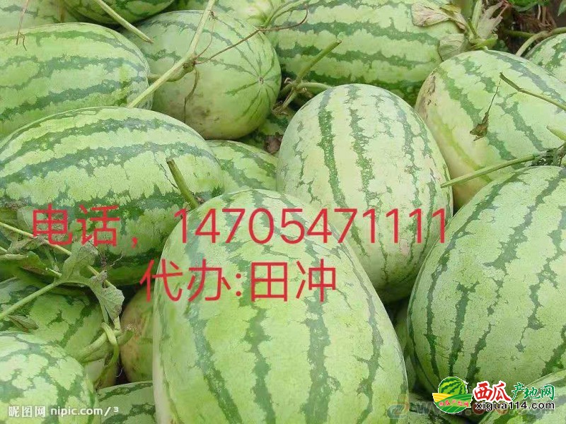 微信图片_20190704164155