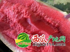 缅甸p2/新绿宝/甜王大量供应中_缅甸西瓜代办