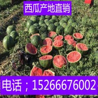 甜王西瓜价格行情15266676002山东省西瓜批发