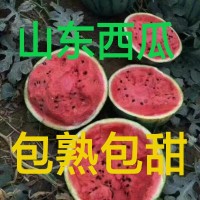 甜王西瓜最新价格