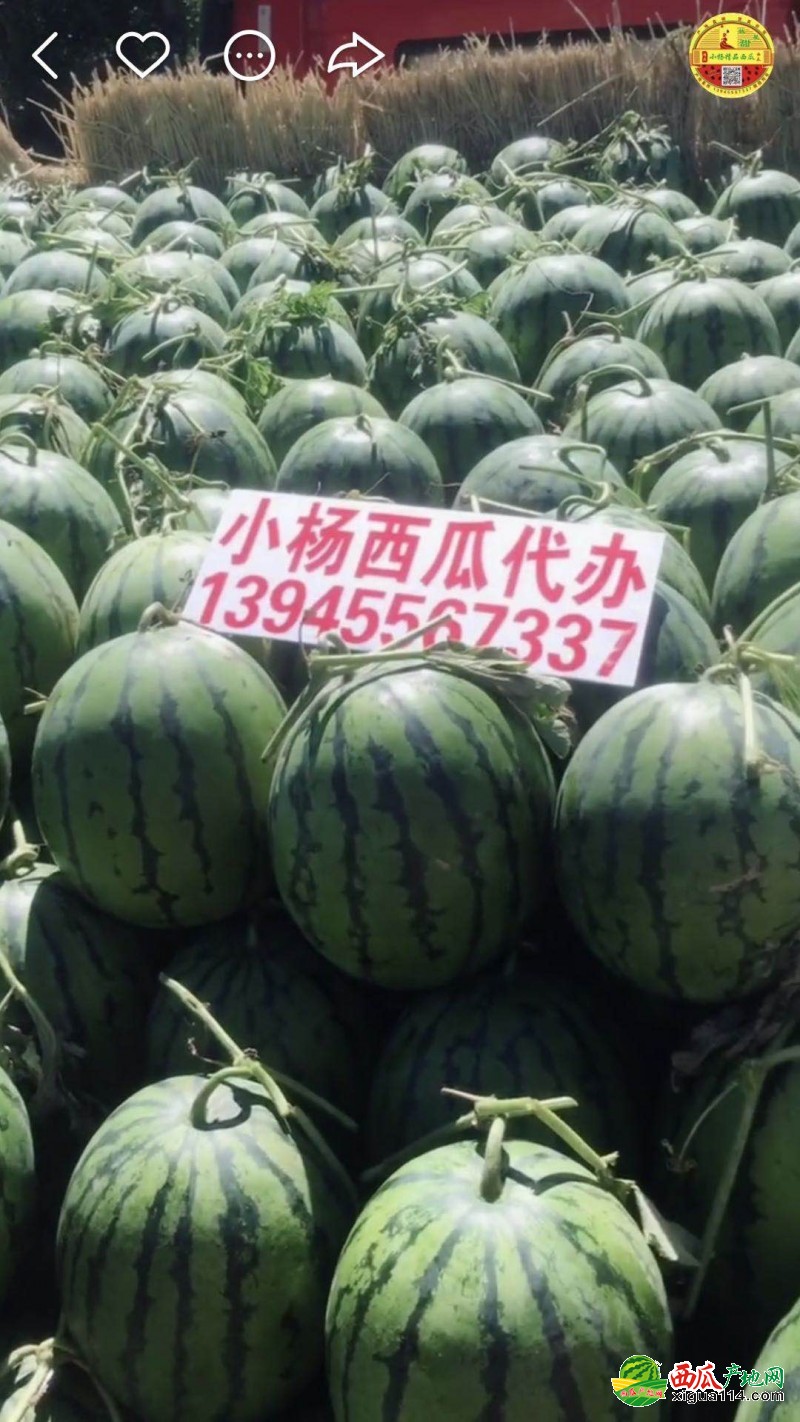 微信图片_20200614224028