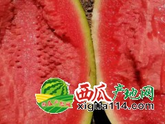 2020年新疆吐鲁番西瓜代办火焰山脚底下的西瓜