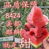 商丘夏邑西瓜上市时间 今日8424麒麟瓜美都西瓜批发多钱一斤