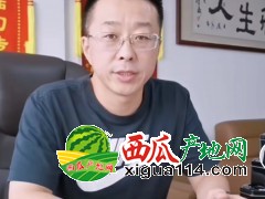 【推荐】吉林省洪磊西瓜代办